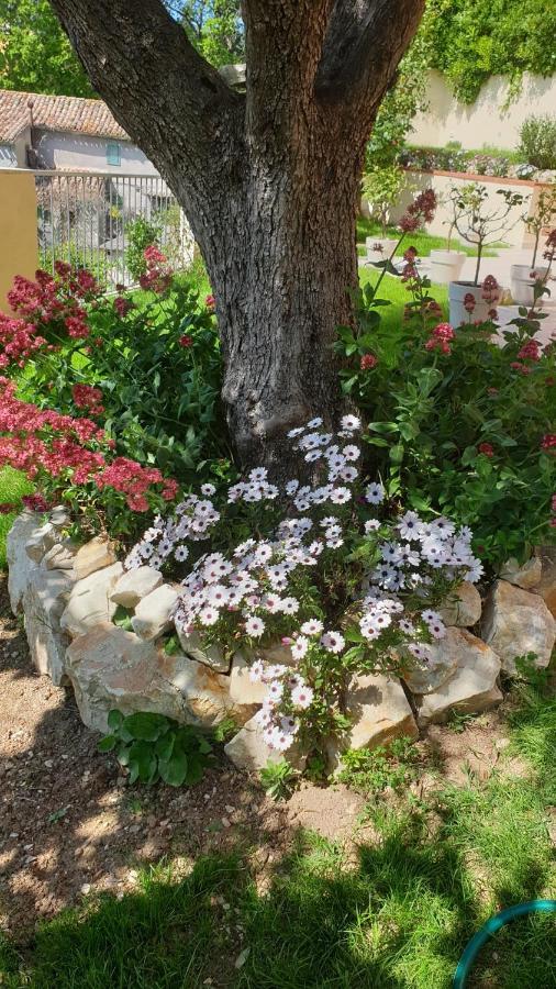 Accanto Alle Mura Rooms & Relax Spa Sirolo Exterior foto